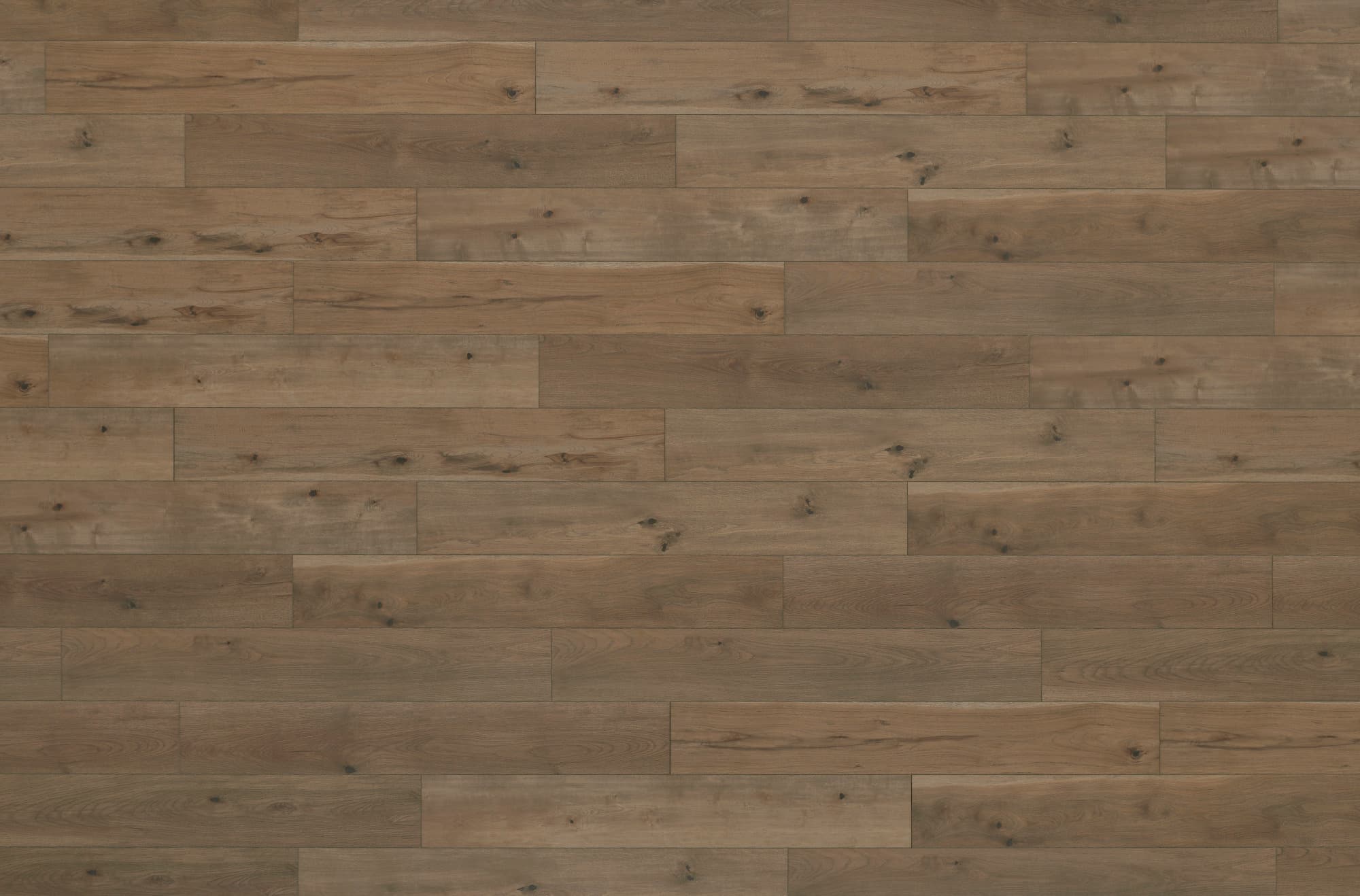 Anthology - Tannin Restoration Collection Laminate flooring