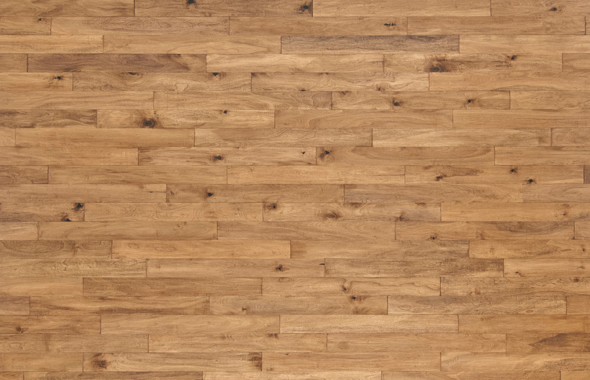 Kodiak - Champagne Kodiak Hardwood flooring