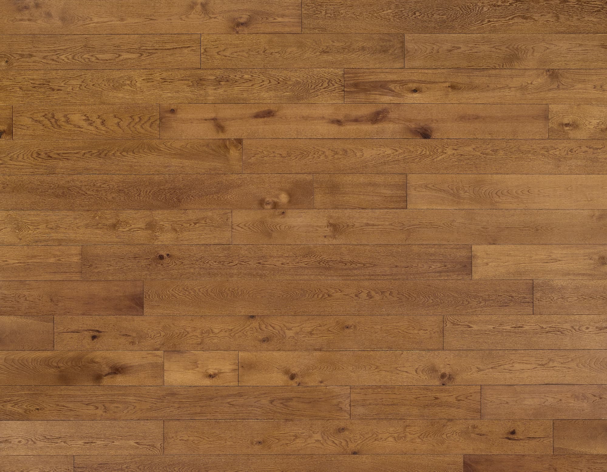 Prospect Park - Amber