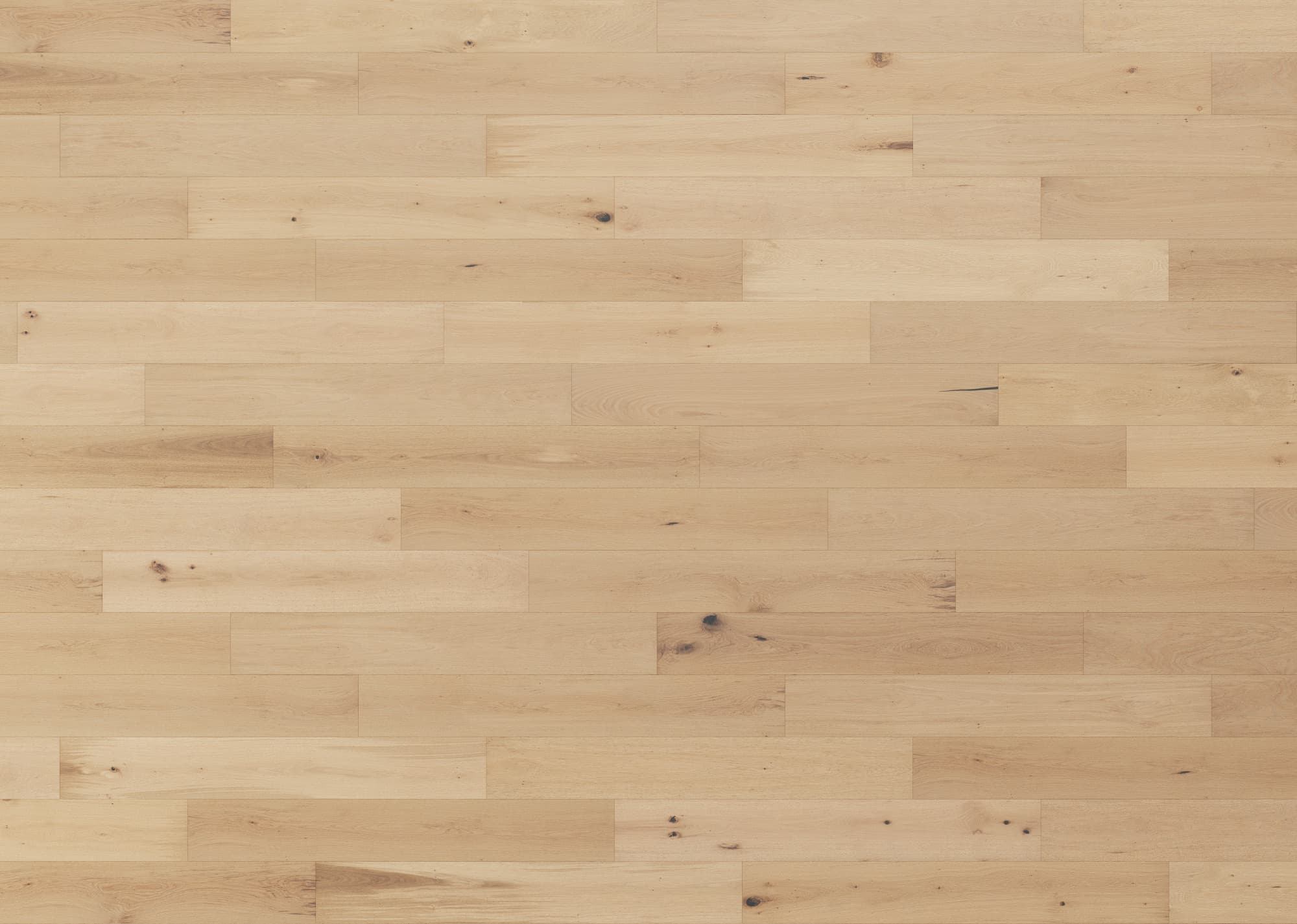 Momentum - Barley Momentum Hardwood flooring