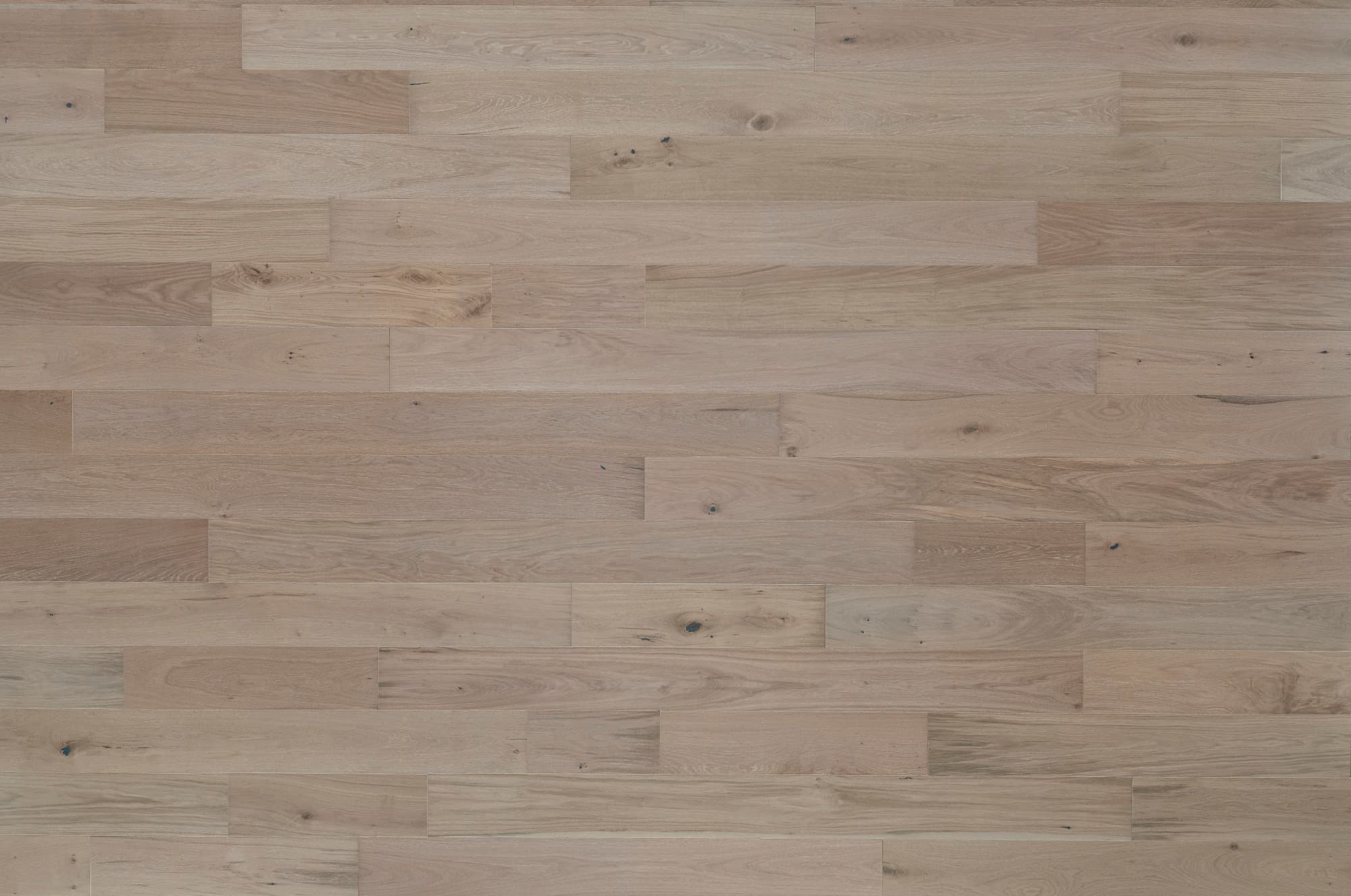 Park City - Alpine Lattitude Collection Laminate flooring