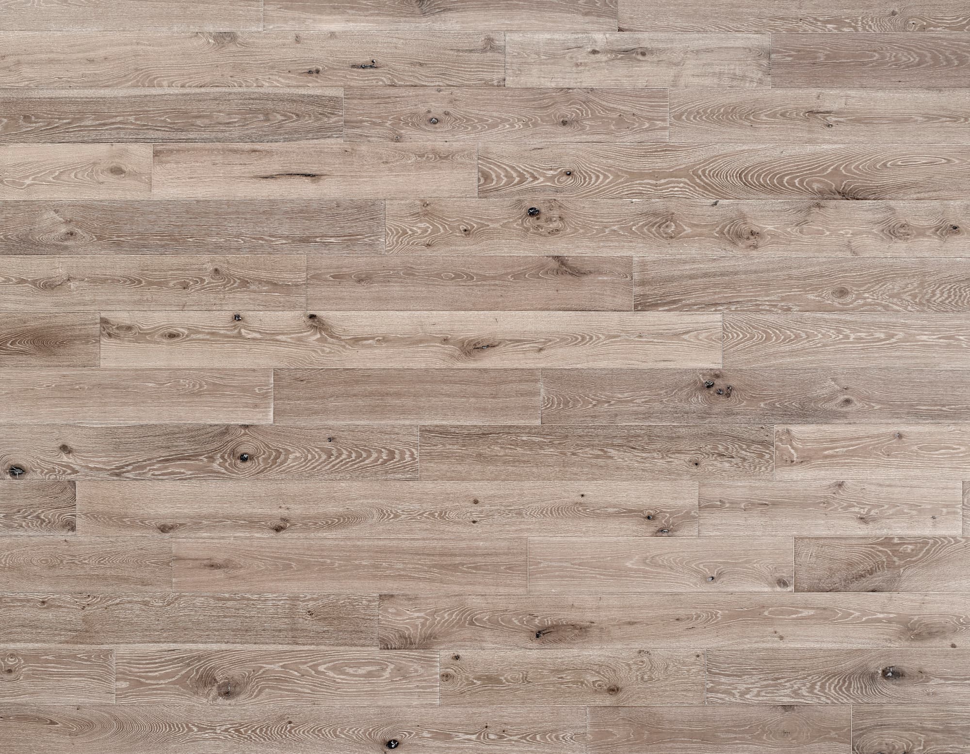 Prospect Park - Arch