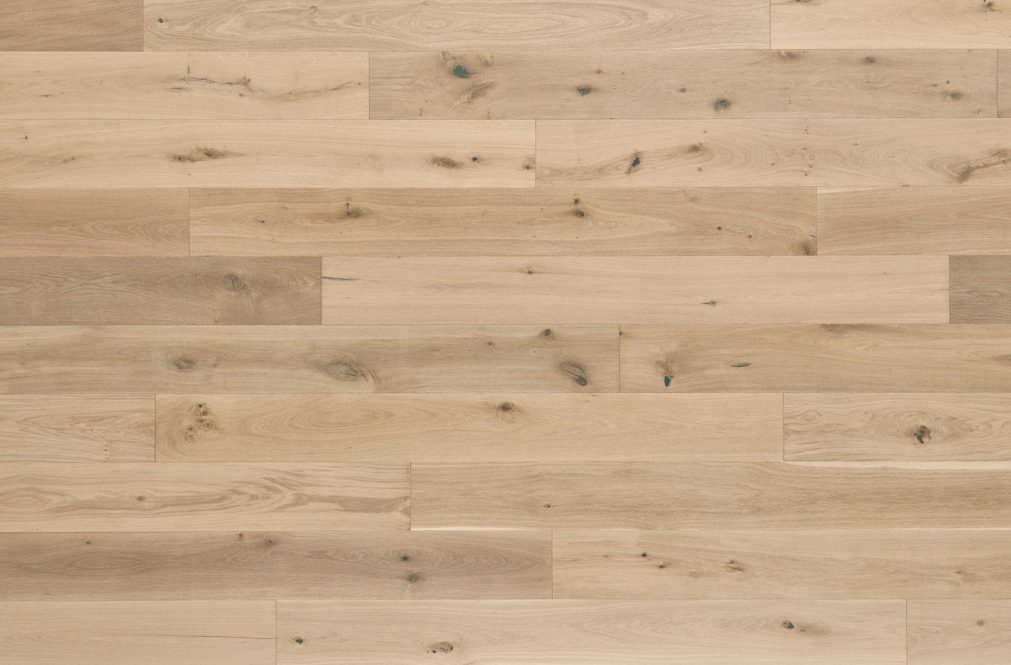 Sanctuary - Shell Sanctuary Hardwood flooring