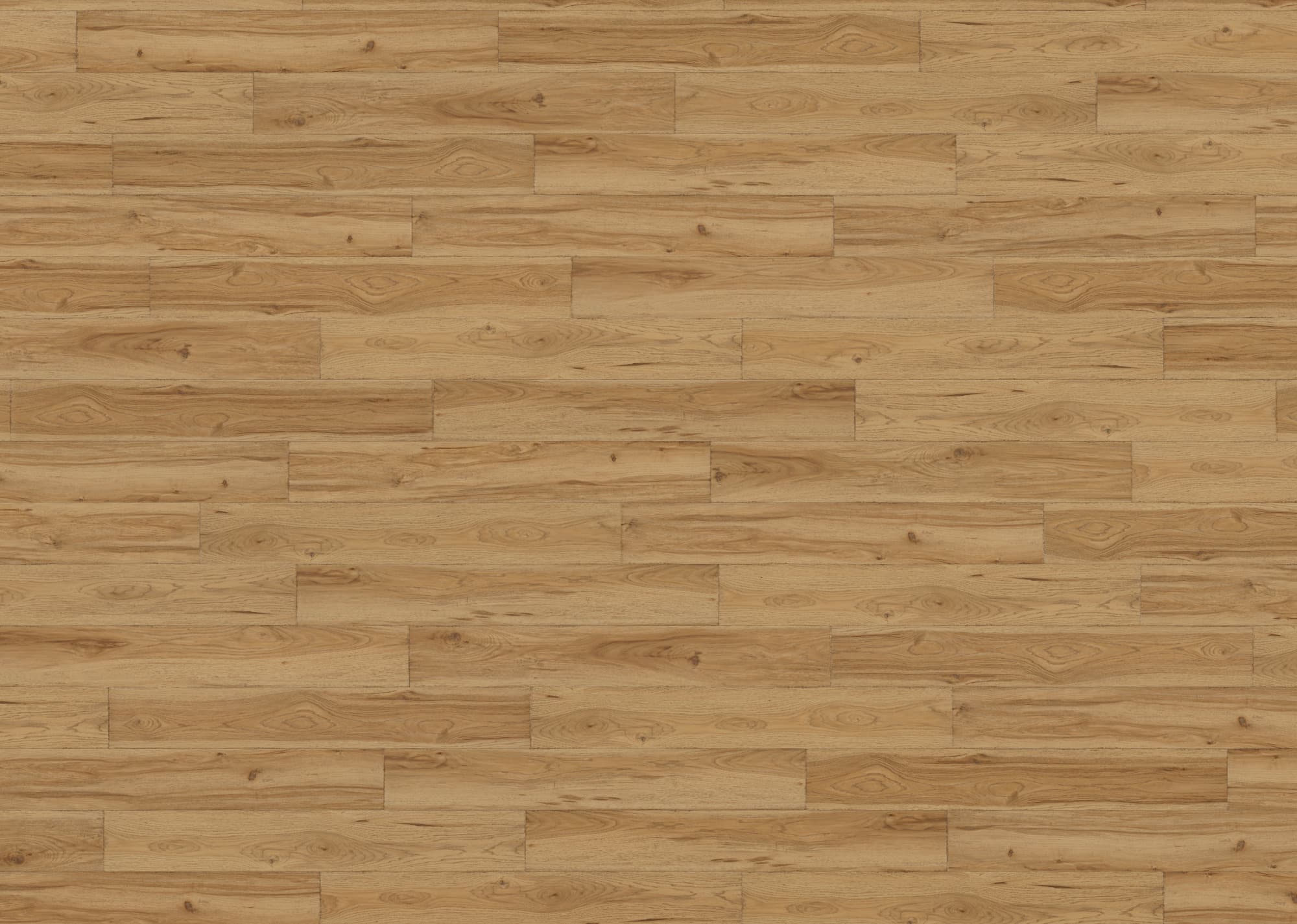 Preservation - Relic