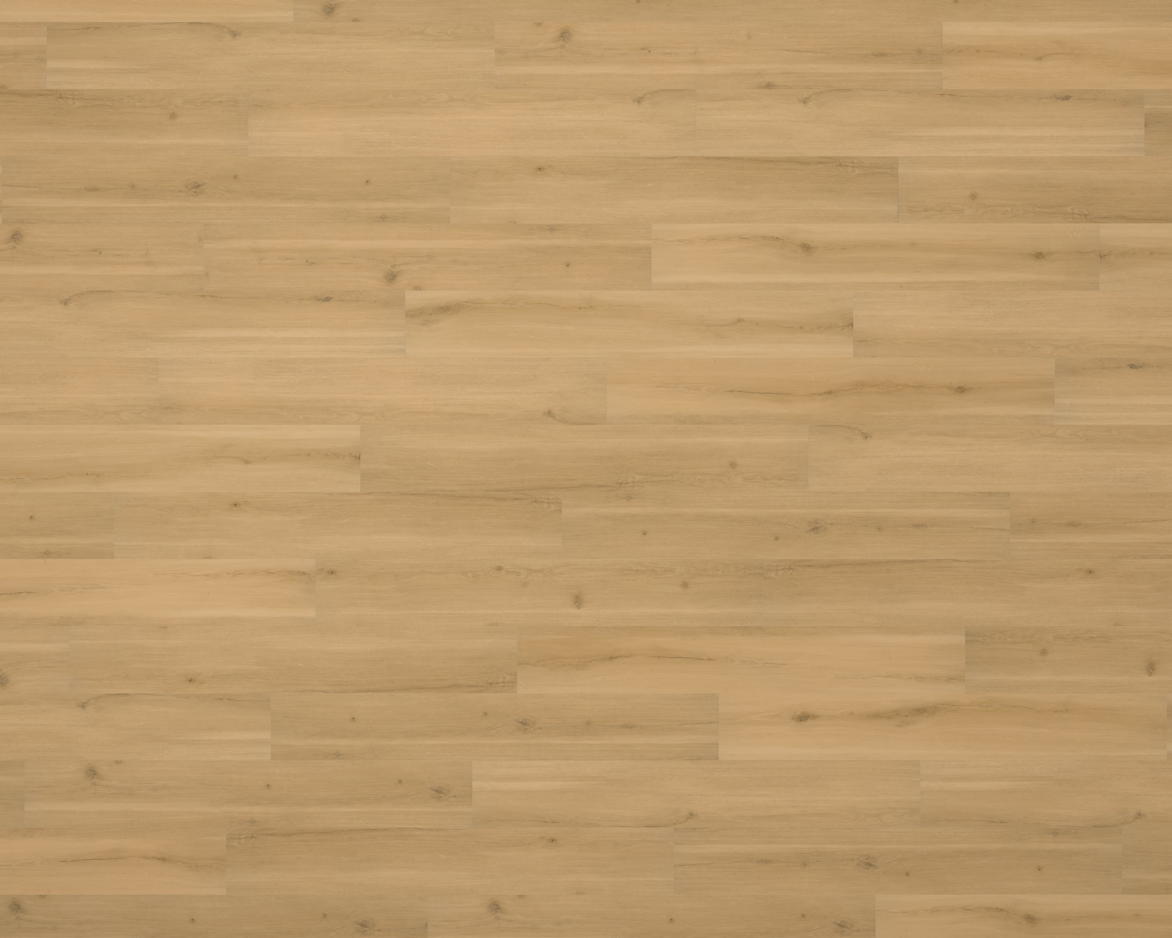 Swiss Oak - Praline ADURA Max Plank Luxury Vinyl flooring