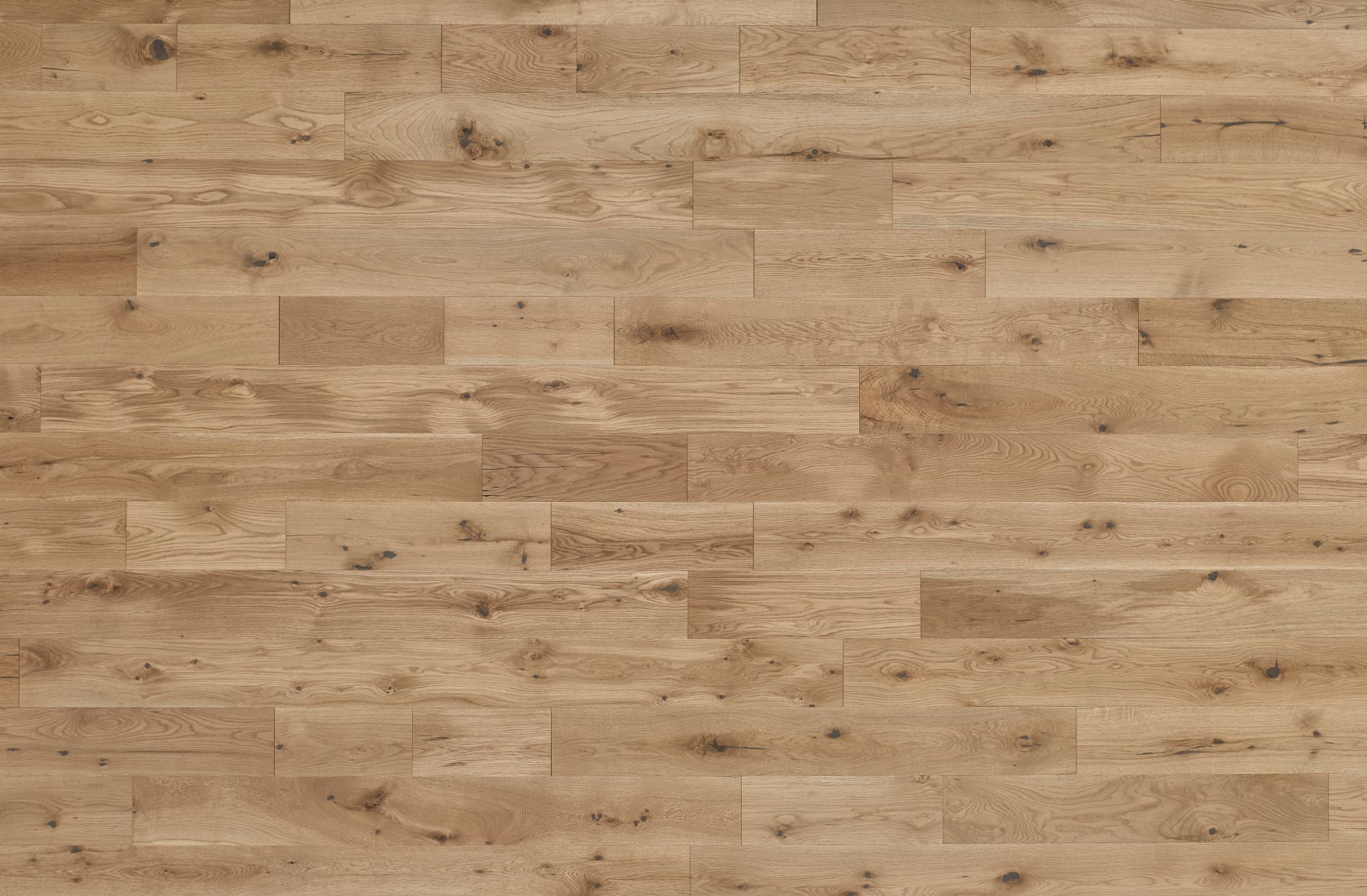 Normandy - Brioche Maison Collection - Normandy Hardwood flooring